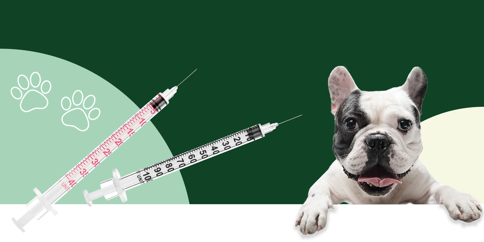 Sol Vet insulin syringes with dog