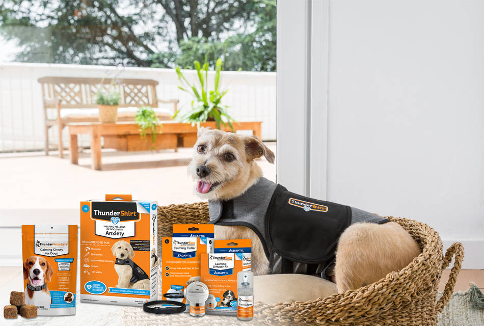 ThunderShirt® Special Vet Edition