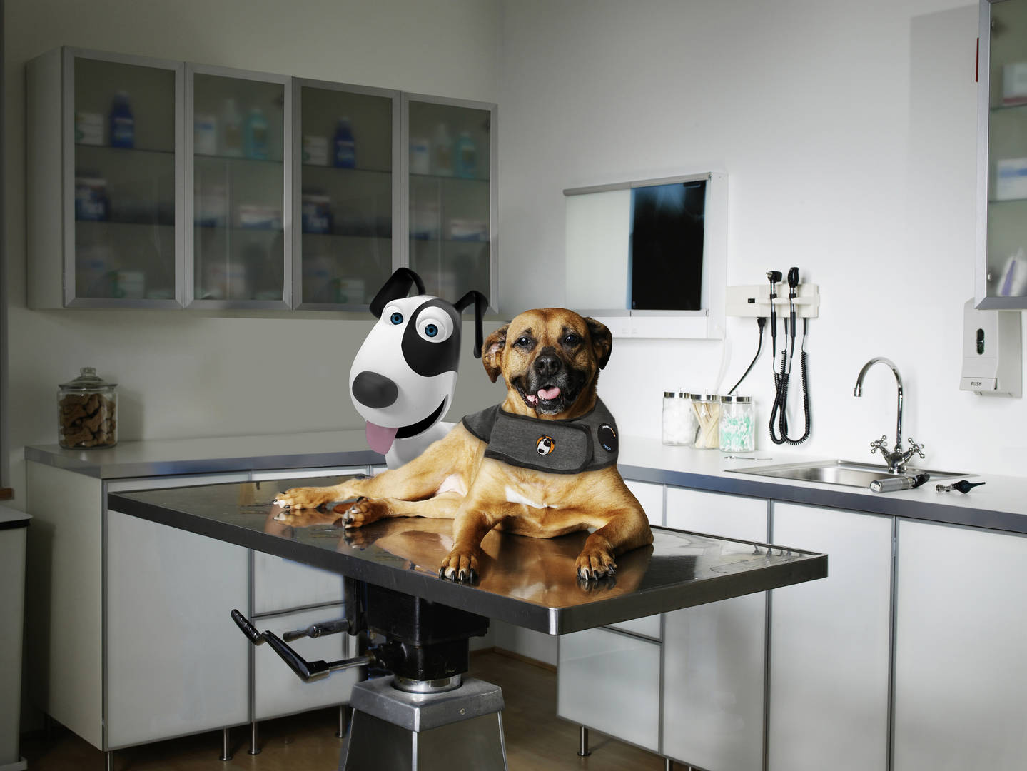 dog laying on exam table with cartoon dog behind it