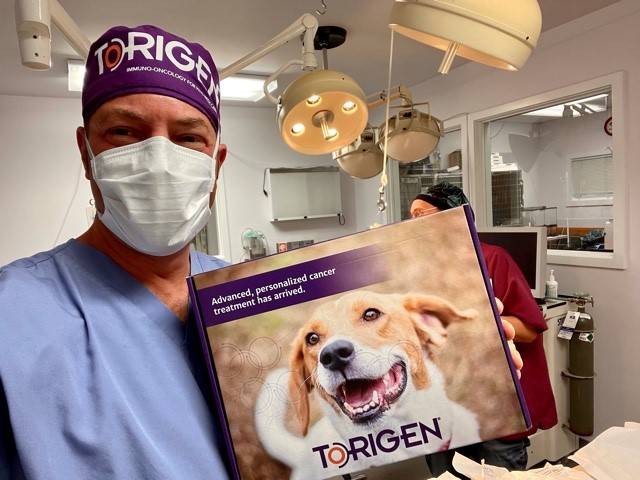 Torigen Pharmaceuticals Veterinary Cancer Treatment