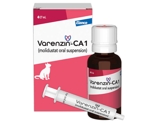 Varenzin™-CA1 (molidustat oral suspension)