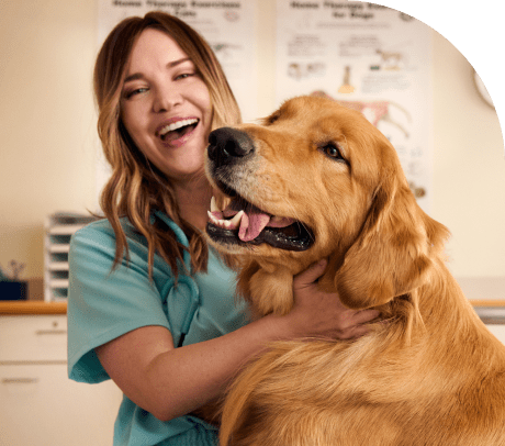 Smiling female vet petting golden retriever