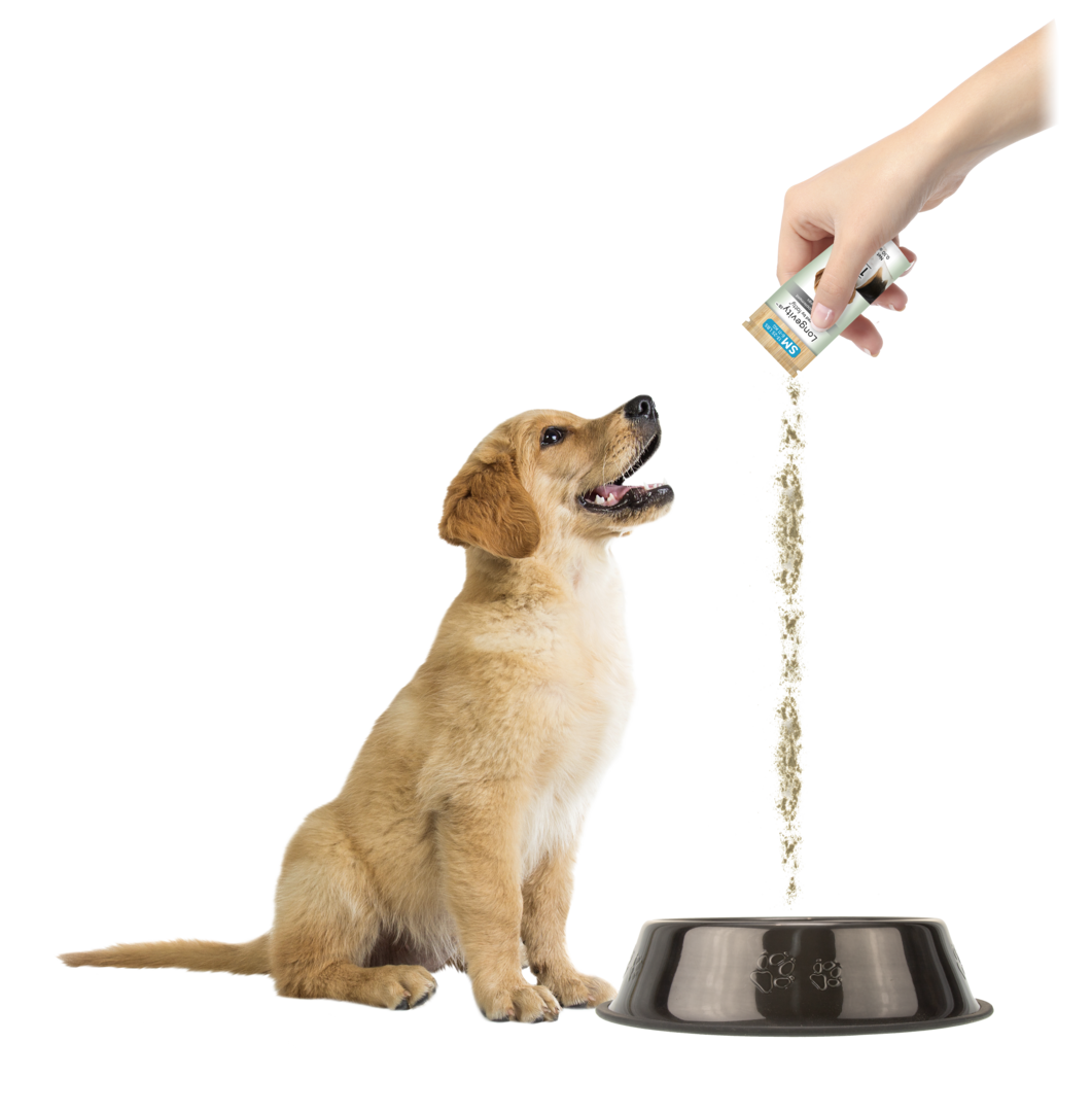 Puppy getting Longevity15 in bowl