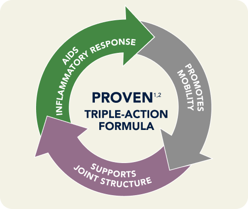 Vetnique YuMove Proven triple Action Formula