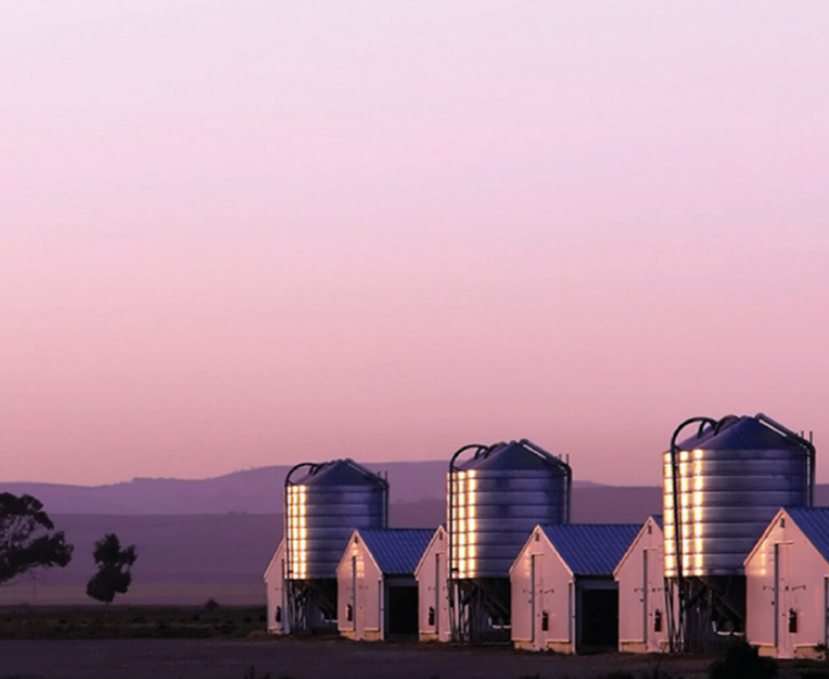 MWI Animal Health Animal Health distributor for companion animals, equine, cattle, livestock