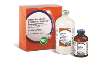 FLEX ParvoPRRS® 