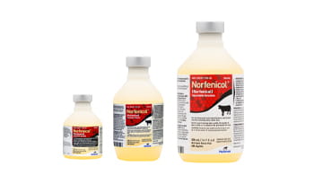 Norfenicol® Injectable Solution