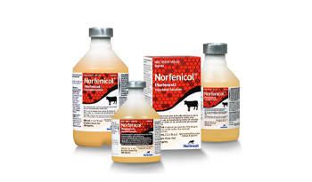 Norfenicol® Injectable Solution