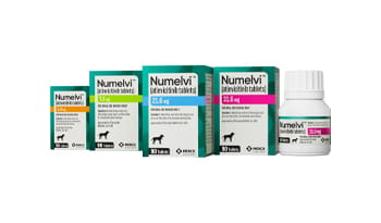 Numelvi™ Tablets