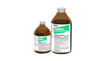 Pradalex™ Injectable Solution