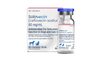 Solovit Injection Companion Animal and Livestock Veterinarians