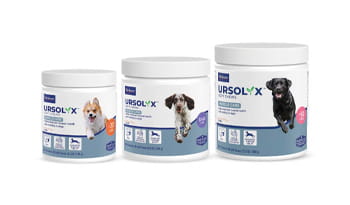 Ursolyx™ Soft Chews