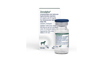 Veterinary Practices