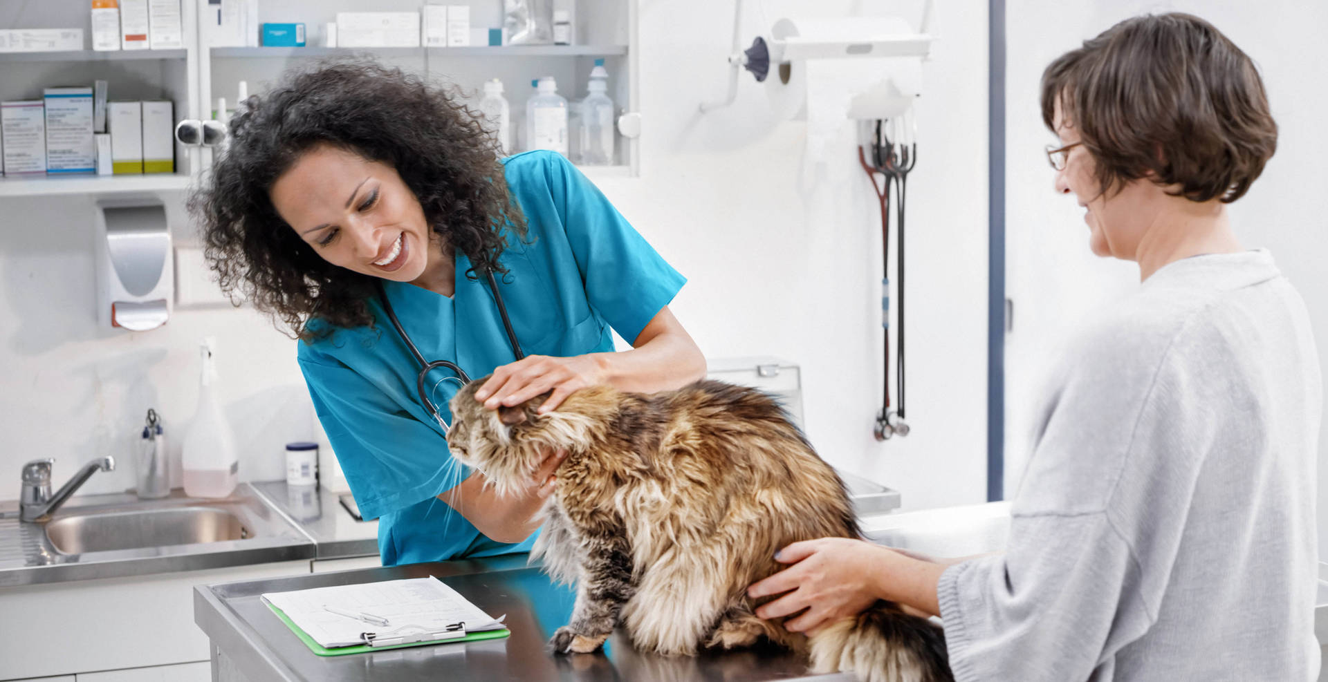 MWI Veterinary Supply