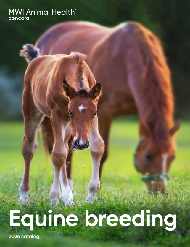 adult horse with foal