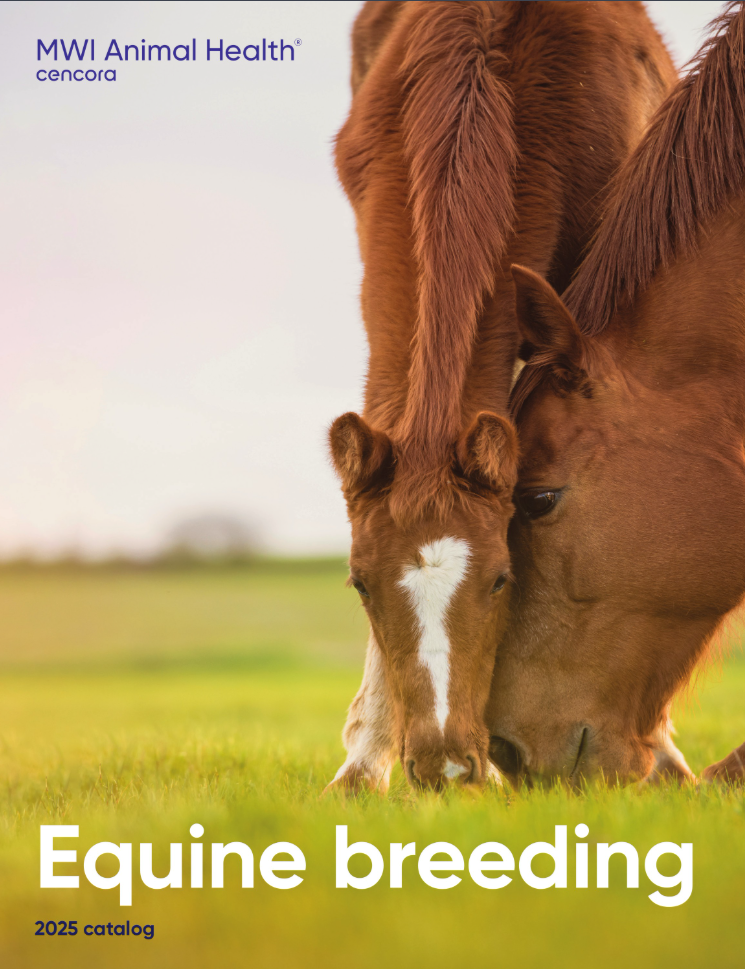 Equine breeding catalog 2025