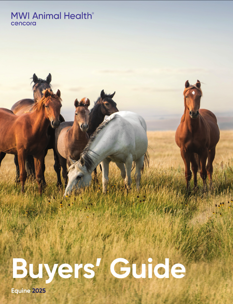 Equine Buyers Guide 2025