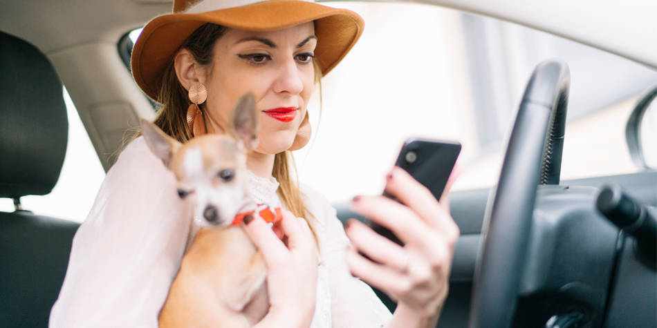 woman sitting in car looking at phone while holding her small dog