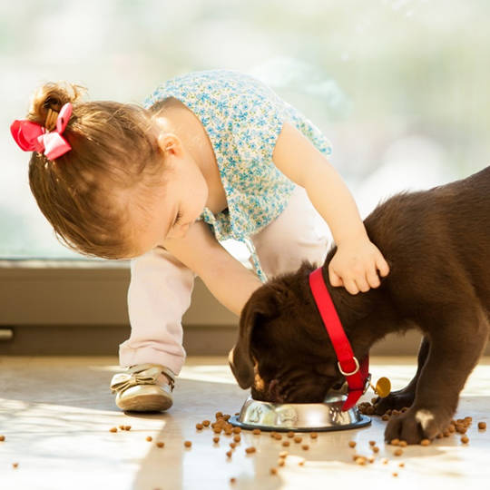 Mwi Veterinary Supply Catalog