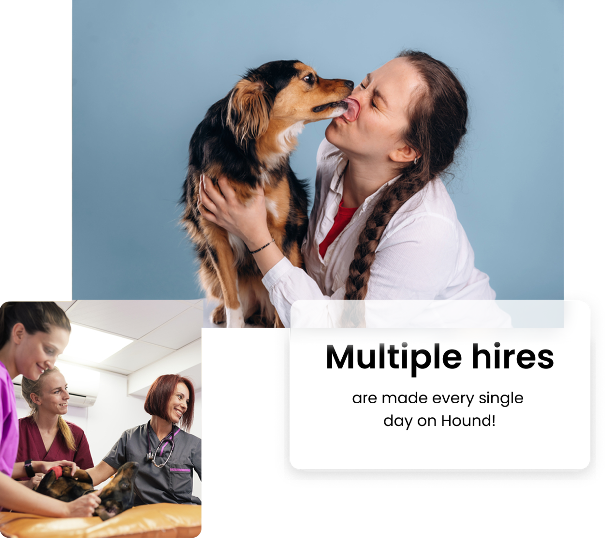 Dog licking vet's face and group of vets examining  a dog