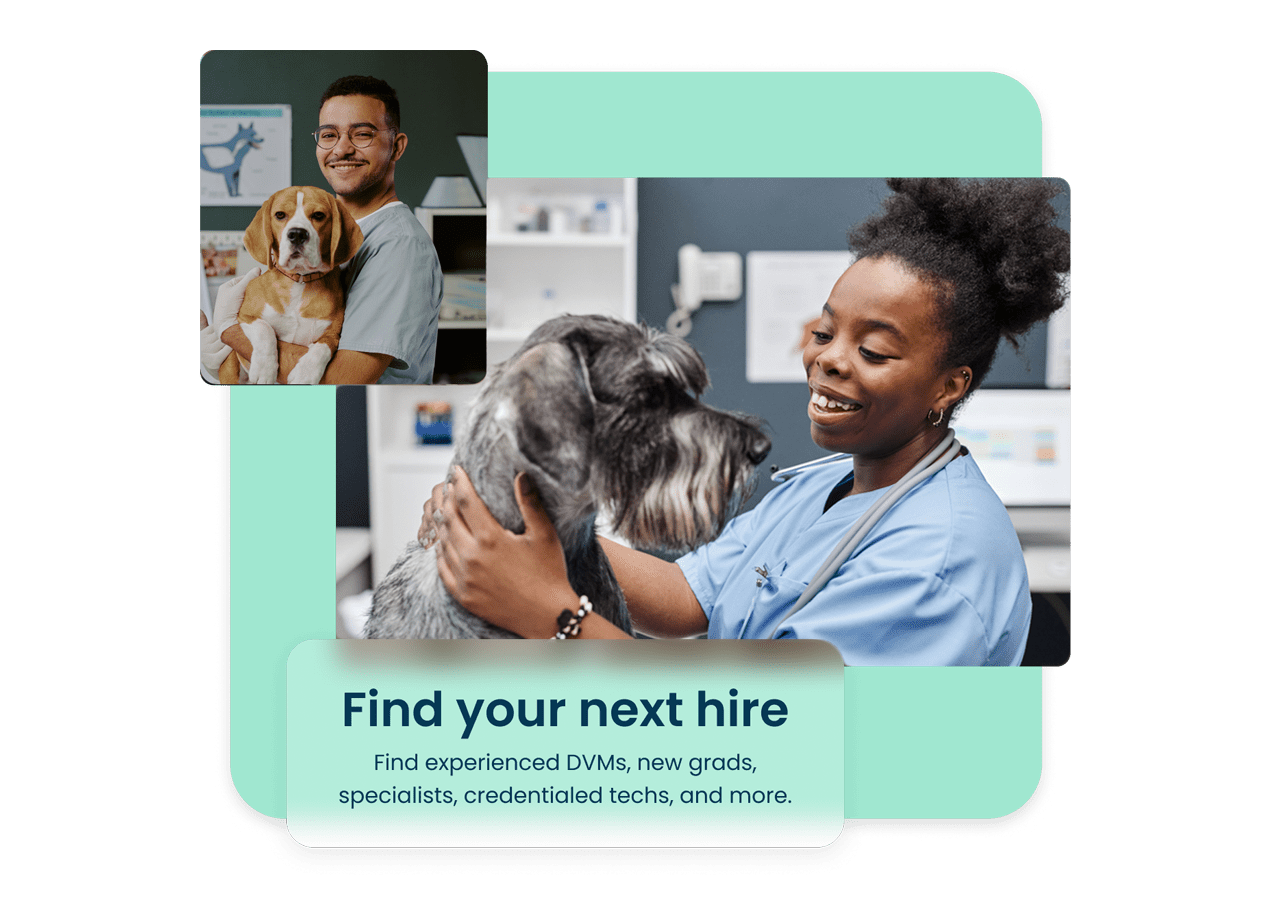 Hound | MWI Animal Health