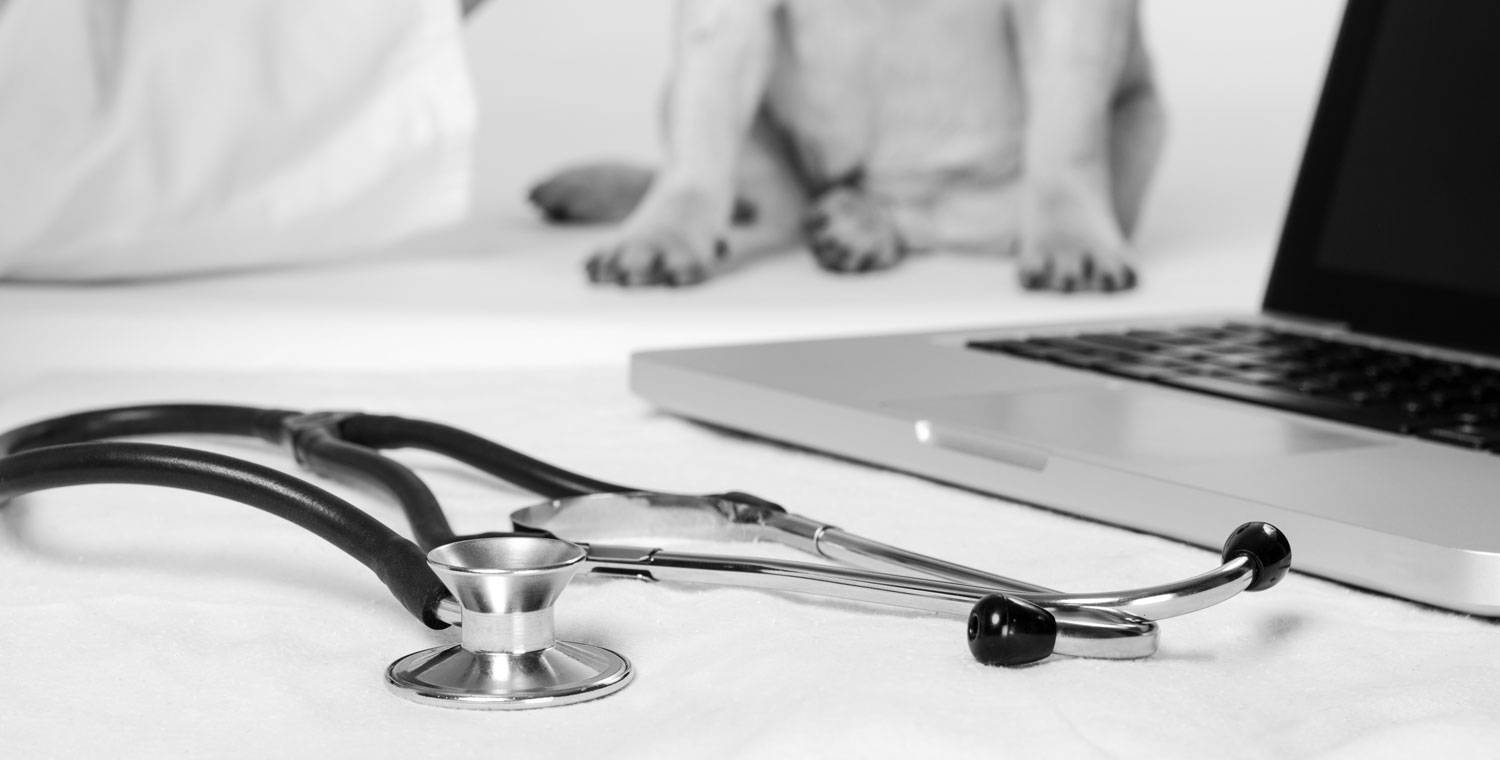 Veterinary Practices MWI Animal Health