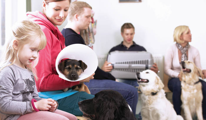 MWI Veterinary Supply