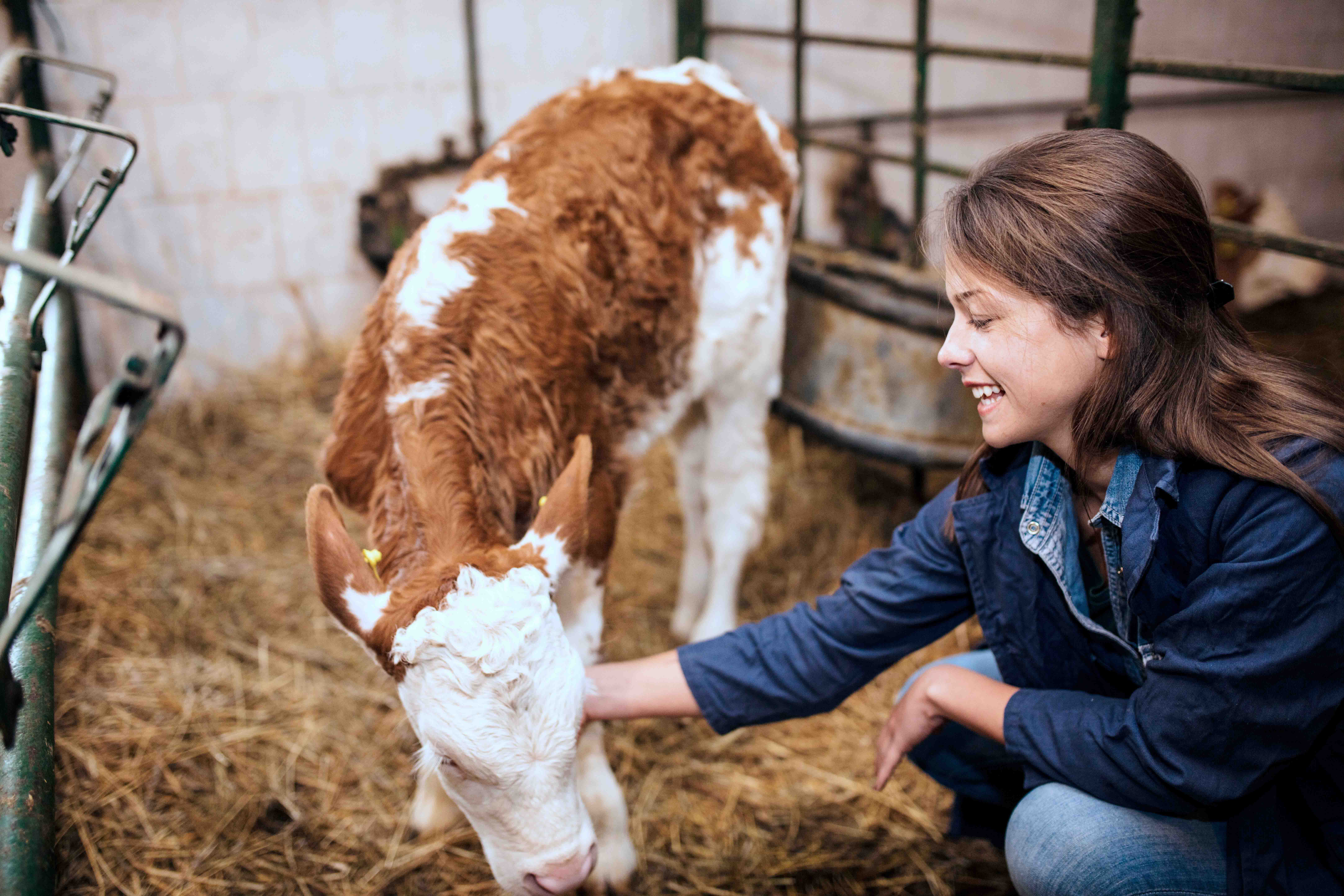 Woman with baby calf